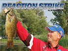 reaction strike