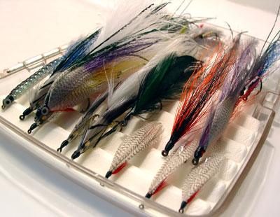 box of fly fishing flies