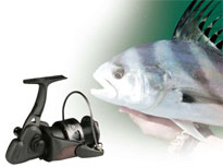 Trio Reels