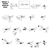 Guide Wrapping Step by Step